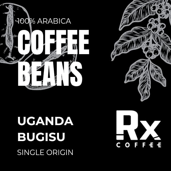 Uganda - Bugiso